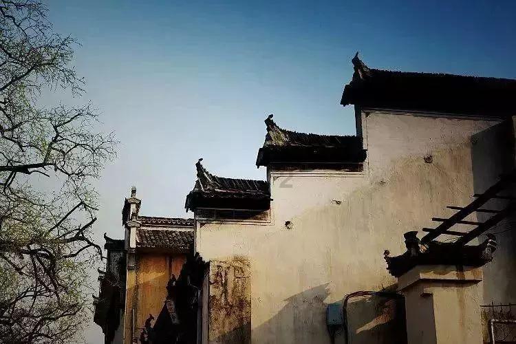 吃星星的恐龙男孩